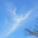 cloud angel charlotte winters