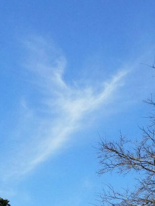 cloud angel charlotte winters