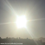 IMG_8205-Solaris-Modalis-crop-450-square