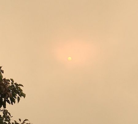 sun, todayssun, solaris modalis, SolarisModalis, solar, solaris, fire, smoke from fire, green sky