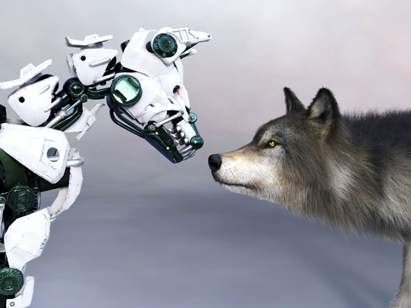 Android, cybernetic being, cyber dog, robot dog, cybernetic dog, wolf, wolf and robot dog